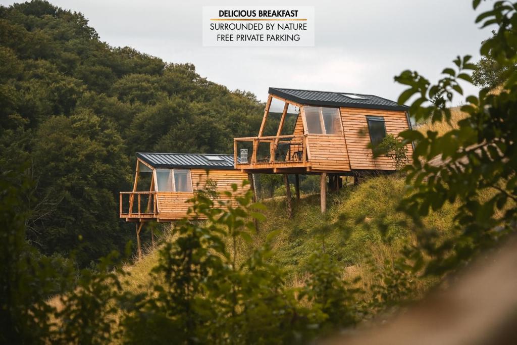 Příroda nedaleko luxury tent