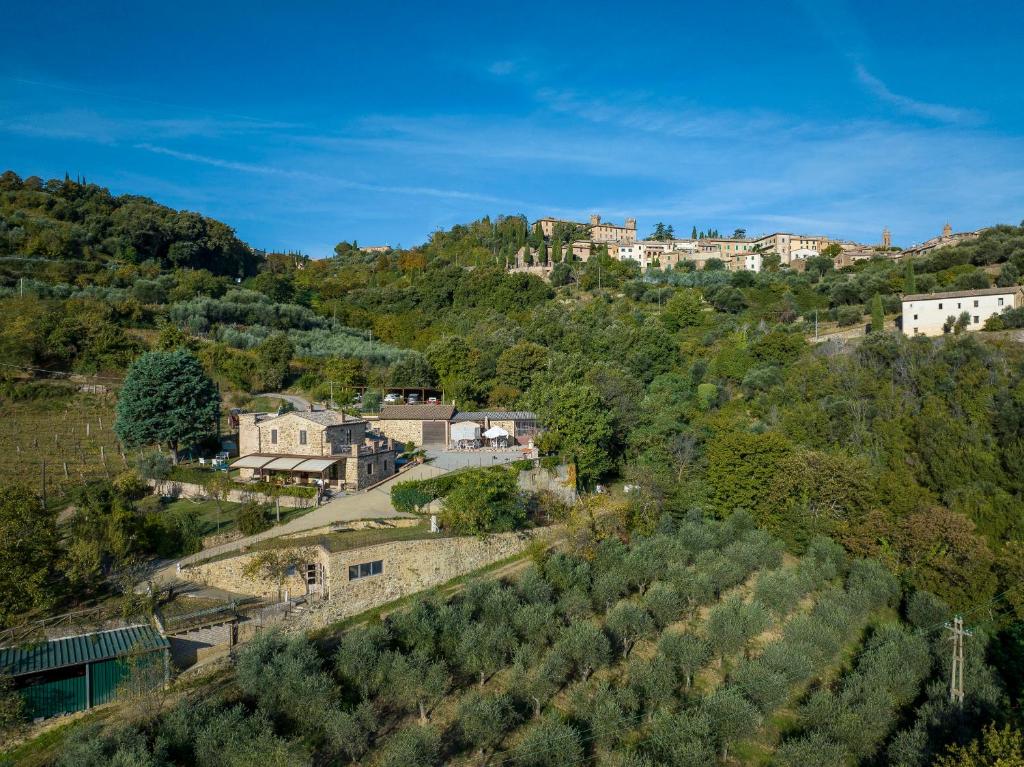 a town on a hill with houses on a hill at Azienda Agraria La Casella in Montalcino