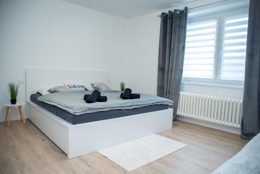 Imagine din galeria proprietății ApartHome 