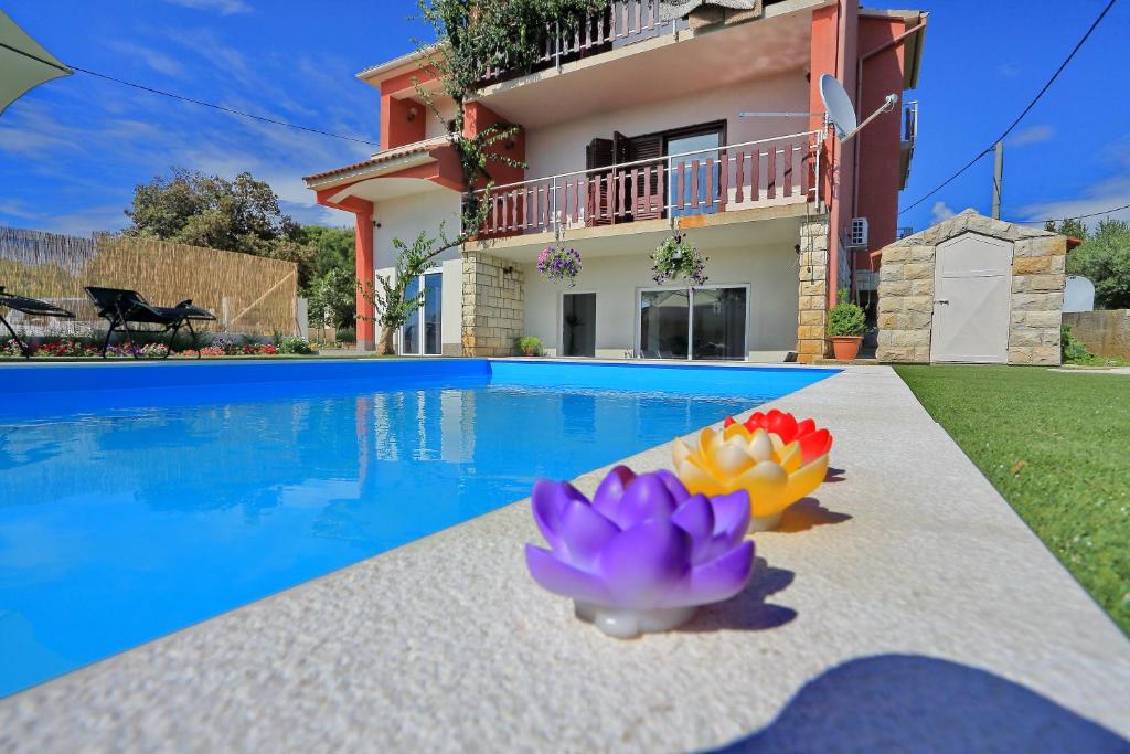 a villa with a swimming pool in front of a house at Apartment Goga in Bibinje