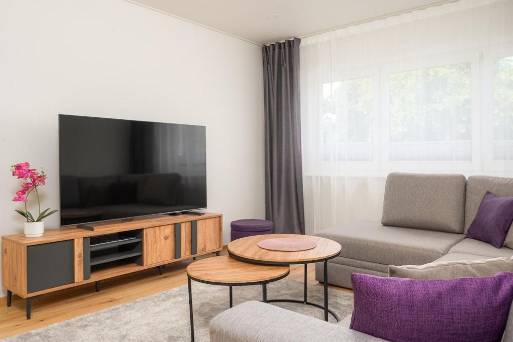 een woonkamer met een bank en een tv bij Mainiidu Apartment in Pärnu