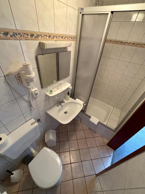 Pension & Metzgerei Friedrich - Standard Single Room