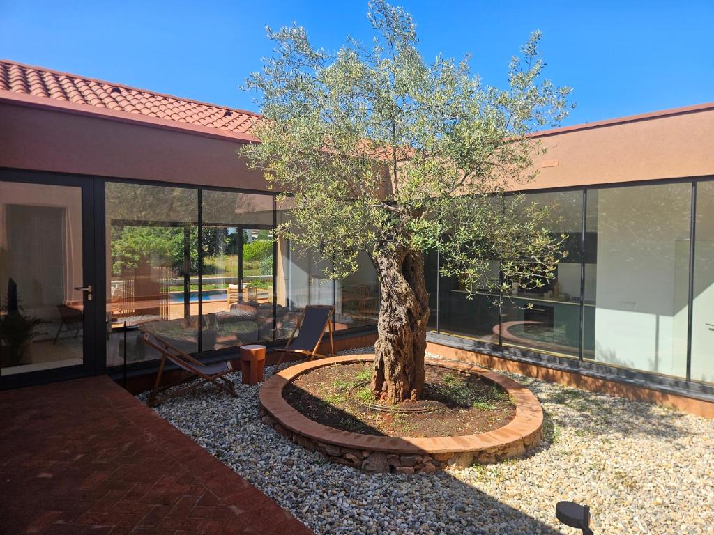 ロヴィニにあるCasa Mariaの建物前円木