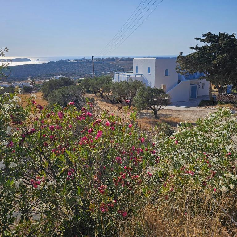 a view of a field of flowers and a building at Blue and White View in Sarakíniko
