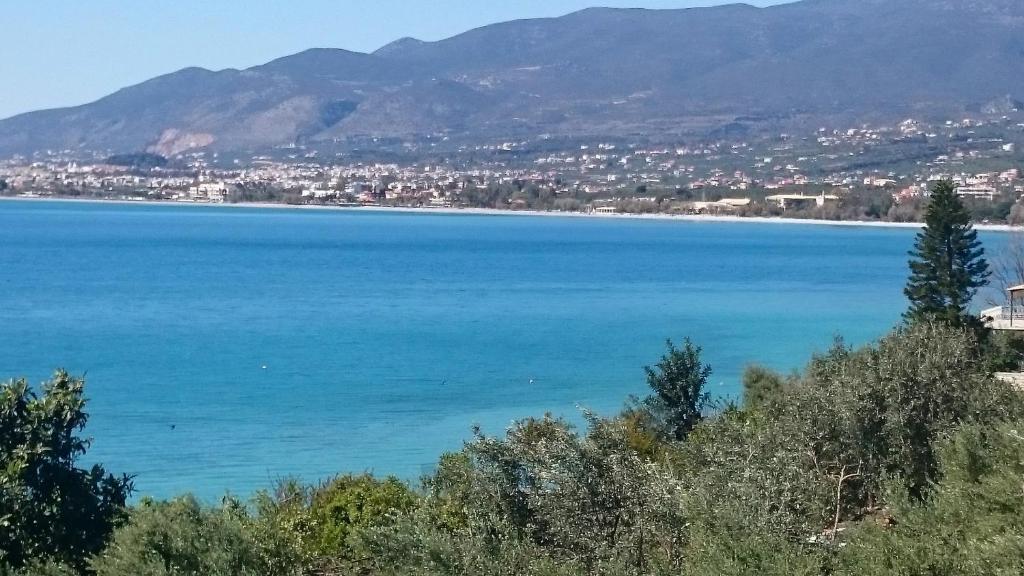 Príroda v okolí vily