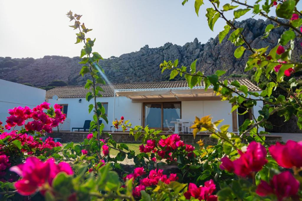 a house with pink flowers in front of it at Casa de Campo La Estancia in Tarifa