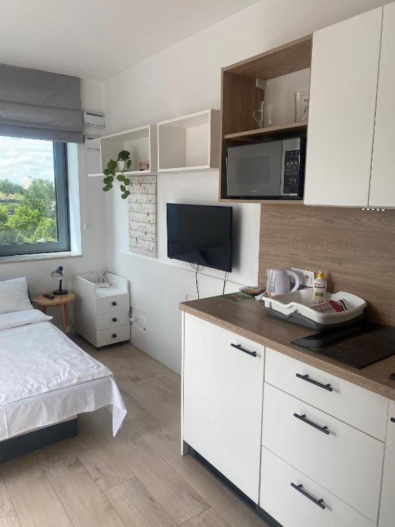 Starter III - Resim 31