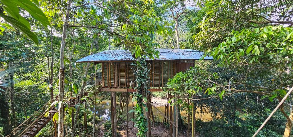 Casa en el arbol Gecko -5 Eware