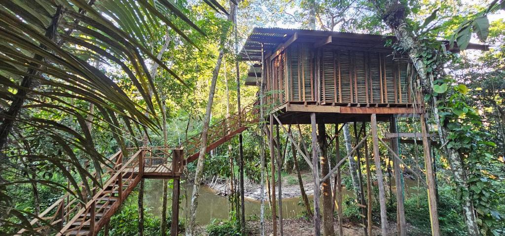 Casa en el arbol Gecko -5 Eware