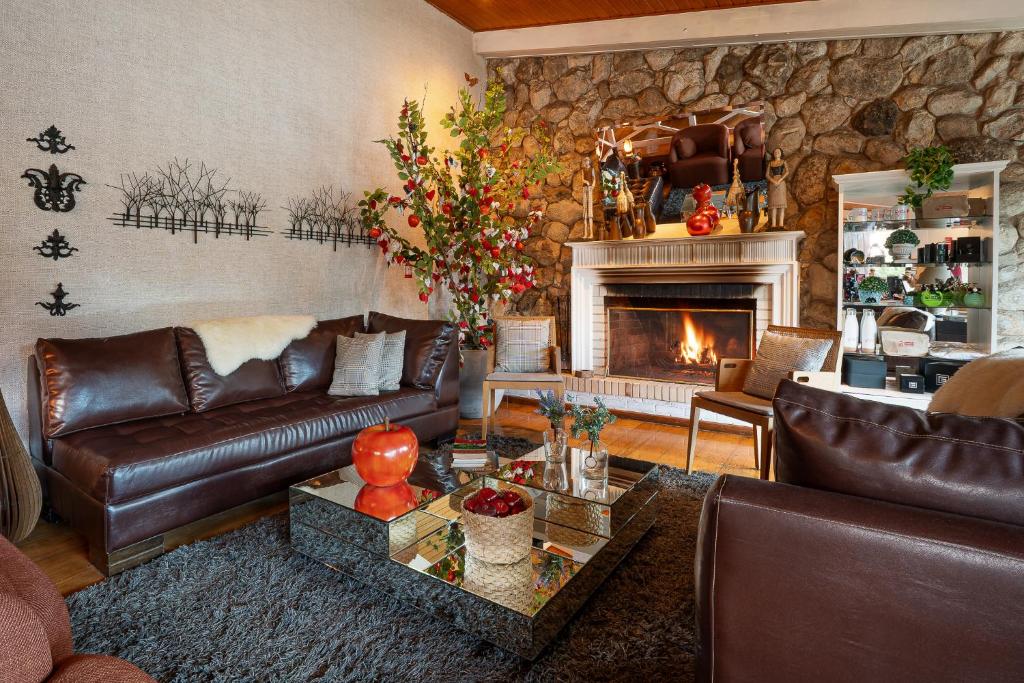 a living room with leather furniture and a fireplace at Pousada Apple House Campos do Jordao in Campos do Jordão