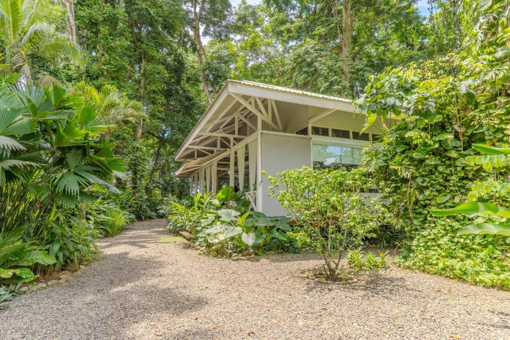 a house in the middle of a forest at Beachfront Residencia Blanca in Puerto Viejo in Puerto Viejo