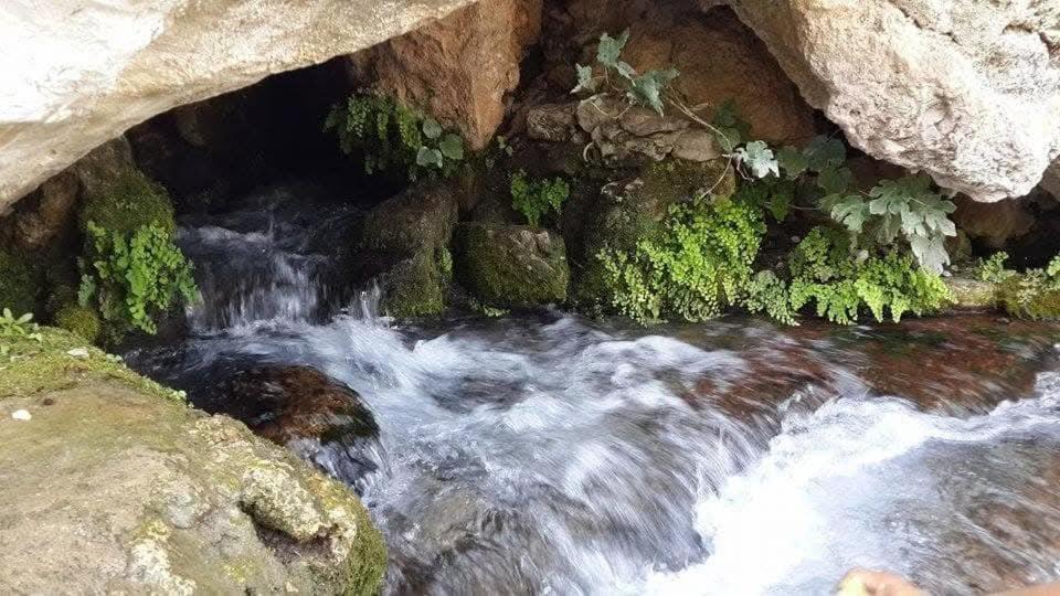 Příroda nedaleko apartmánu