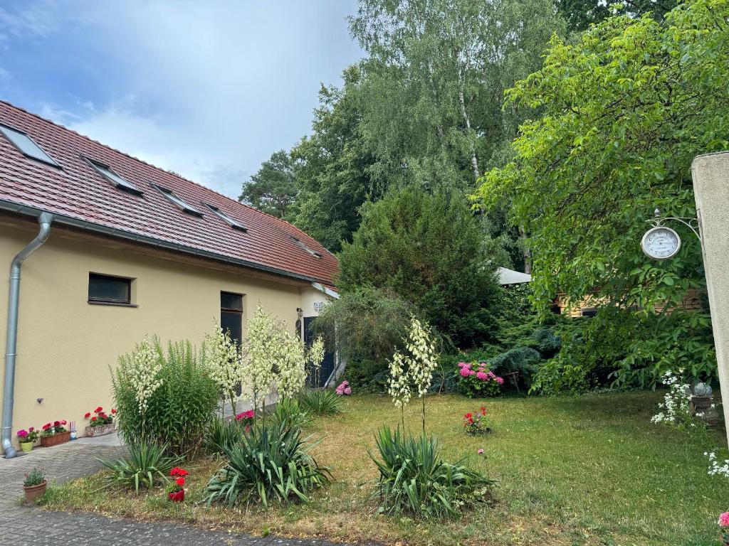 Agroturystyka Staroscin - 2