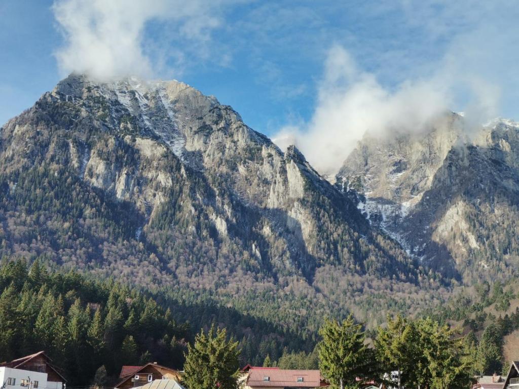 Γενική θέα στο βουνό ή θέα στο βουνό από  αυτός ο ξενώνας