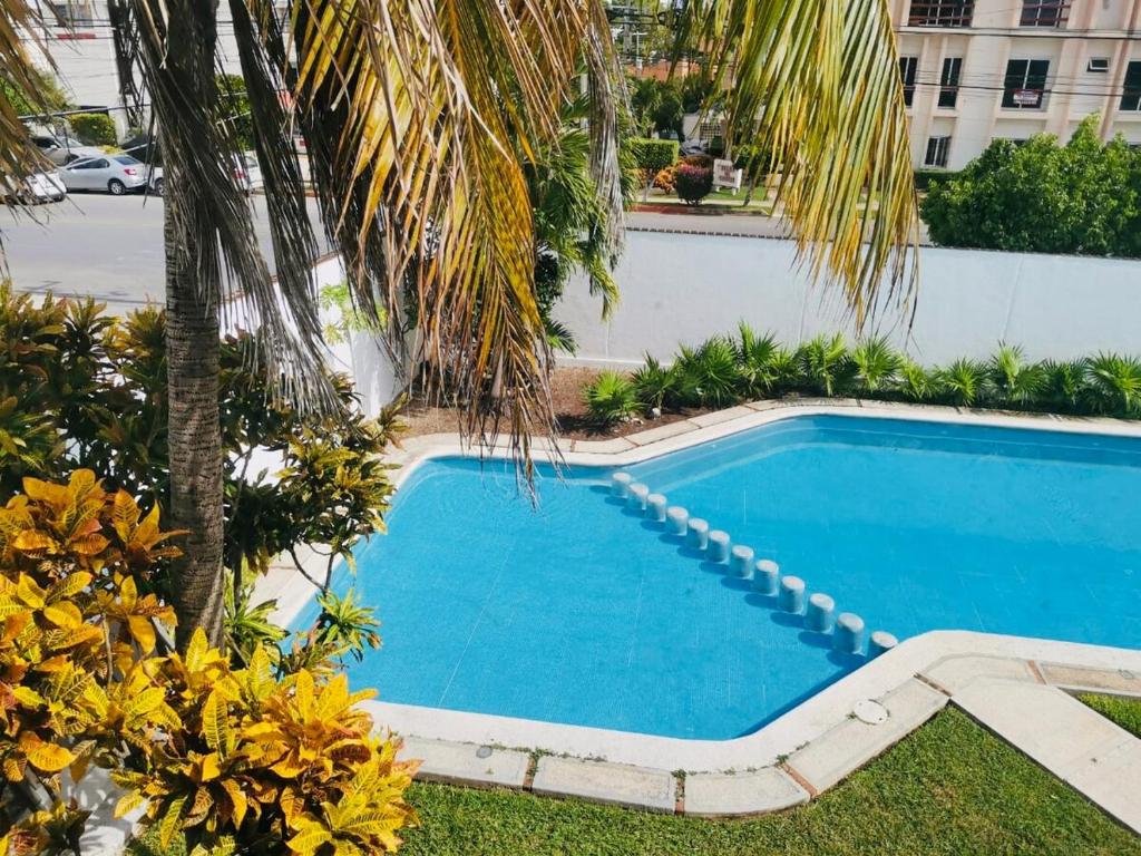 an empty swimming pool next to a palm tree at Beautiful 2 bedroom house with pool at best location in Cancún