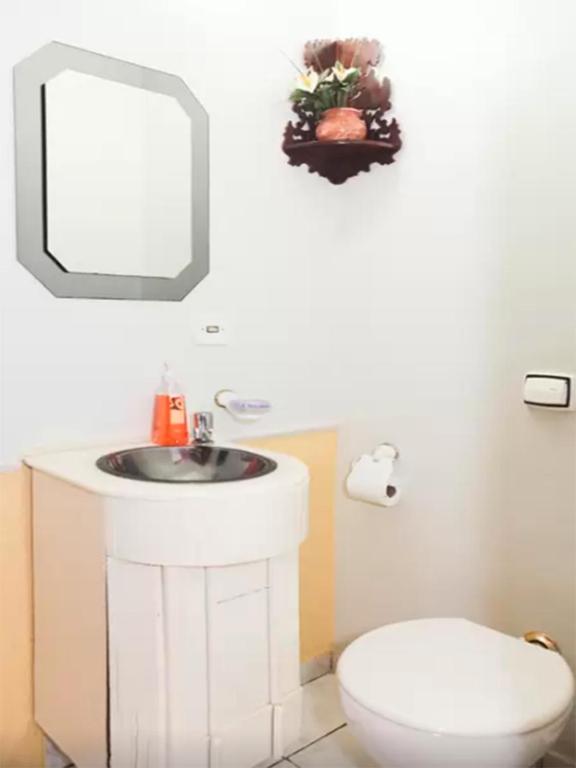  Casa Alto Padrão Asa Sul
