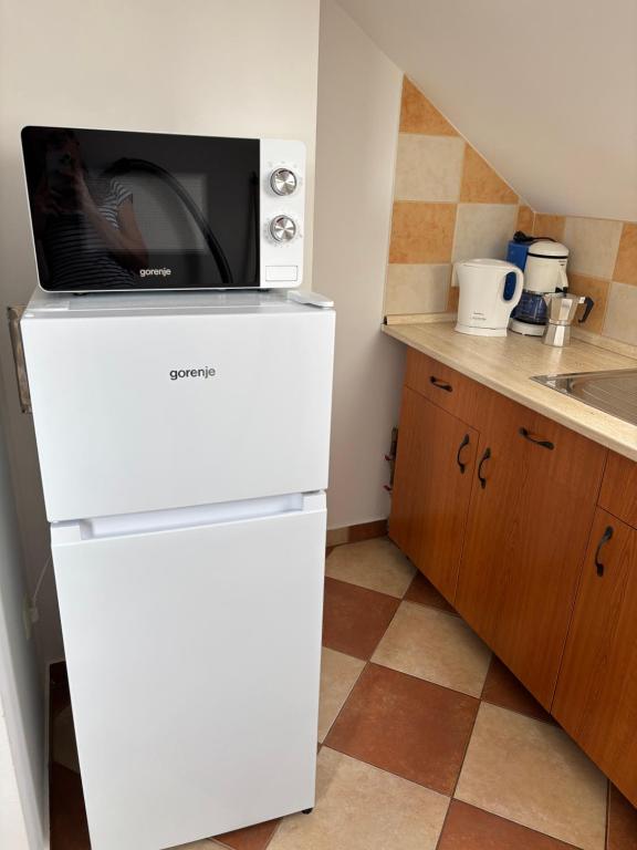 A kitchen or kitchenette at Bodzavirág Apartman