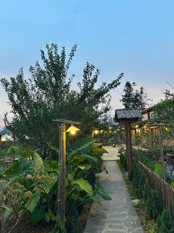 Vườn quanh Lung Chung Doi Sapa - Homestay & Coffee Garden