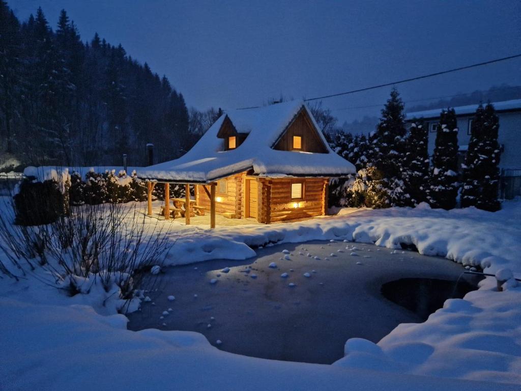 Zrub pri rieke Hron v zimě