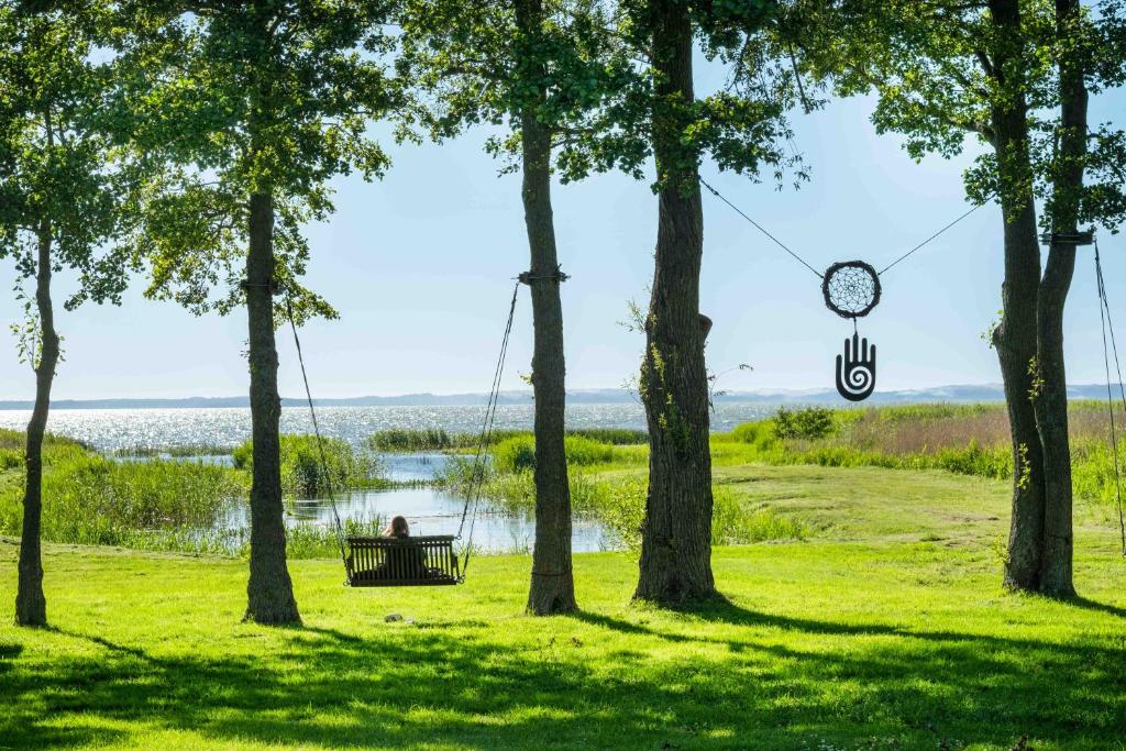 a person sitting on a swing in a park next to a lake at Satavi kaimo turizmo sodyba in Kintai