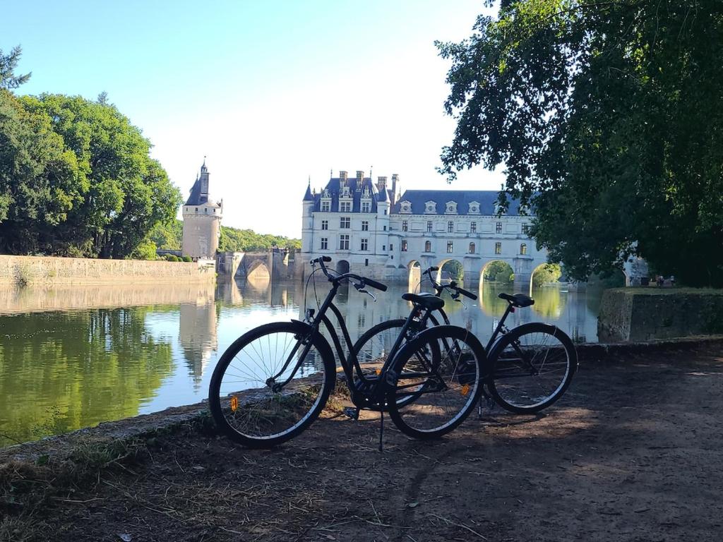 two bikes parked next to a river with a castle at Gîte de l'Aiguille in Civray-de-Touraine