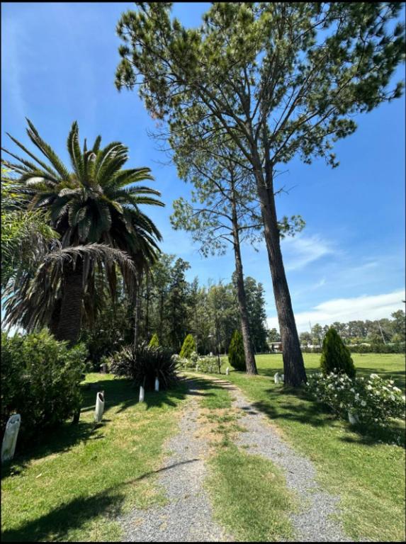 Un camino de tierra en un parque con dos palmeras. en Estancia El Eden, en Ranchos