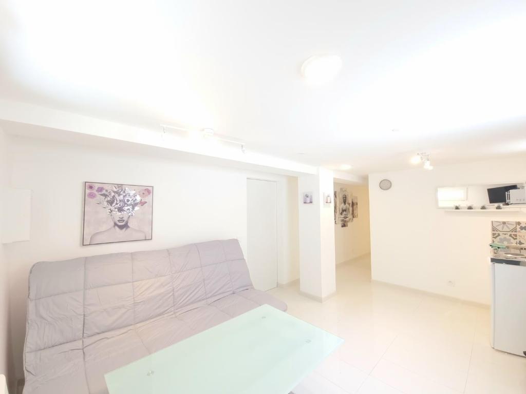 Η κουζίνα ή μικρή κουζίνα στο Proche gare, centre-ville et château de Blois