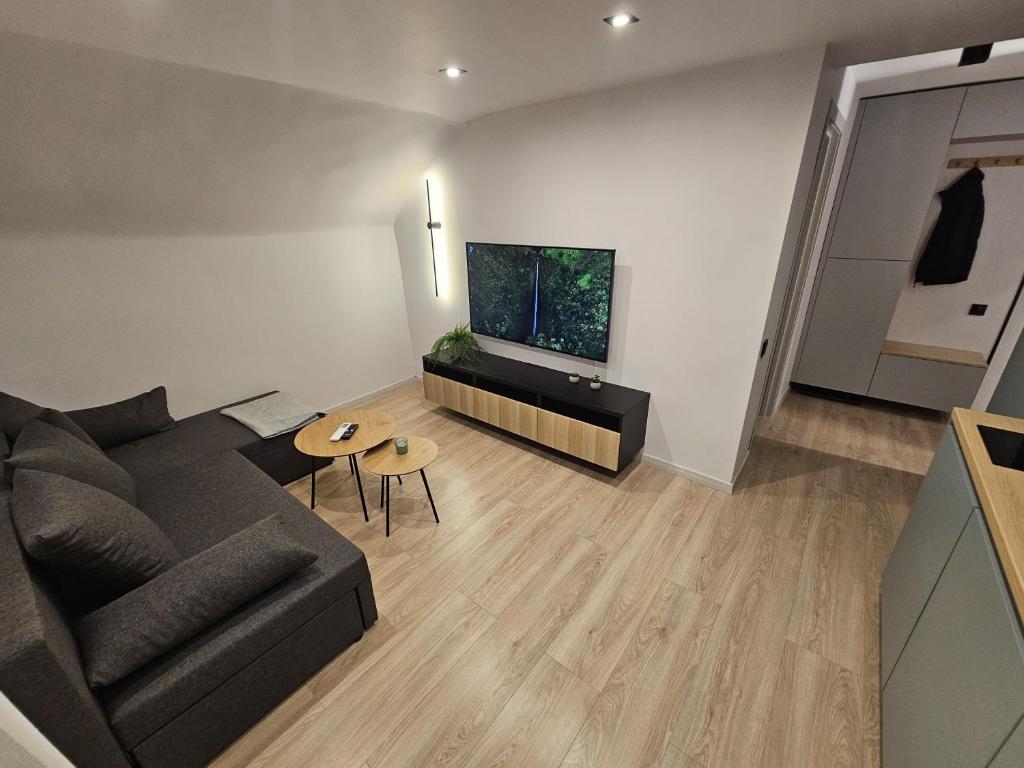 un soggiorno con divano e TV a schermo piatto di Zvaigžņu apartment a Riga