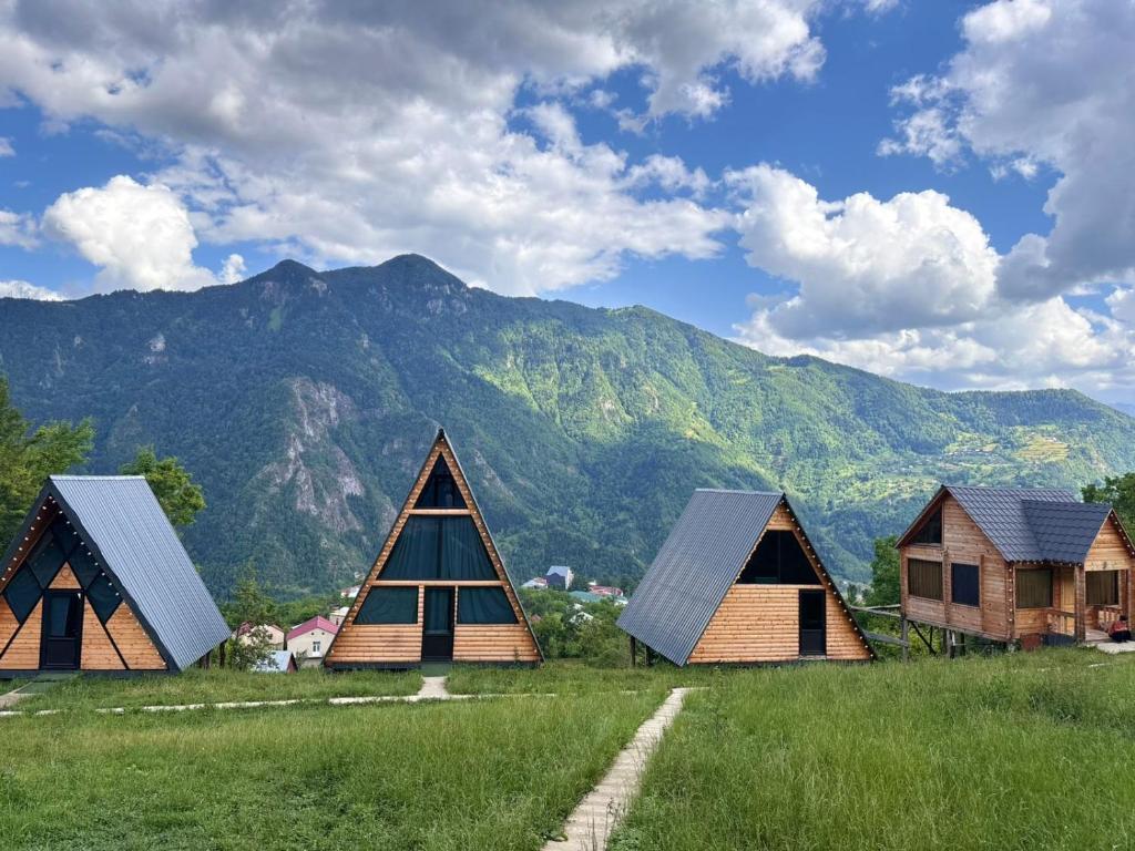 a group of houses in a field with mountains in the background at SunHouse in Khulo
