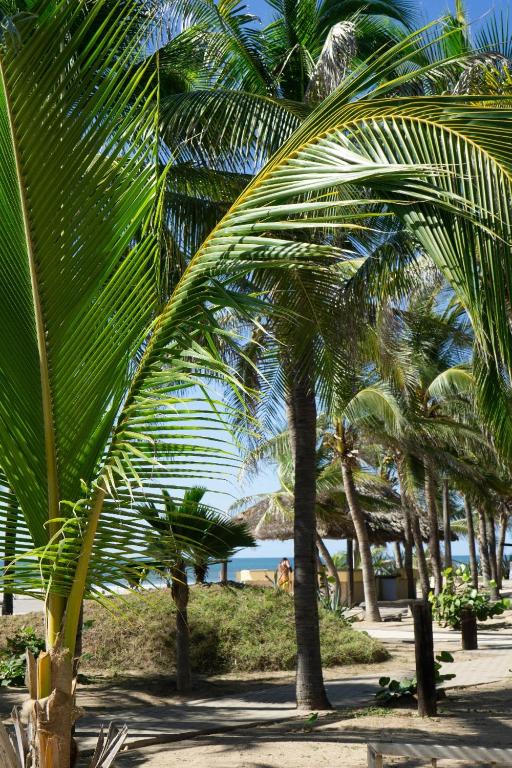 Baraka Beach Club Mazatlán