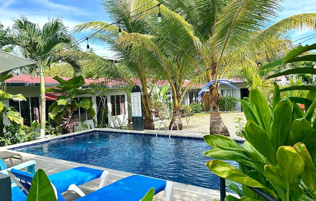 a swimming pool in front of a house with palm trees at Rooms & Pool Macaws in Uvita