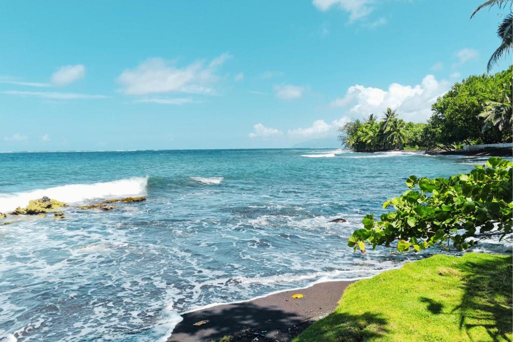 TAHITI Tamanu House - Séjour Bord de mer, Plage privée, TV, Wifi, Hôte Polynésienne - photo 5 - Tahiti, Polynésie