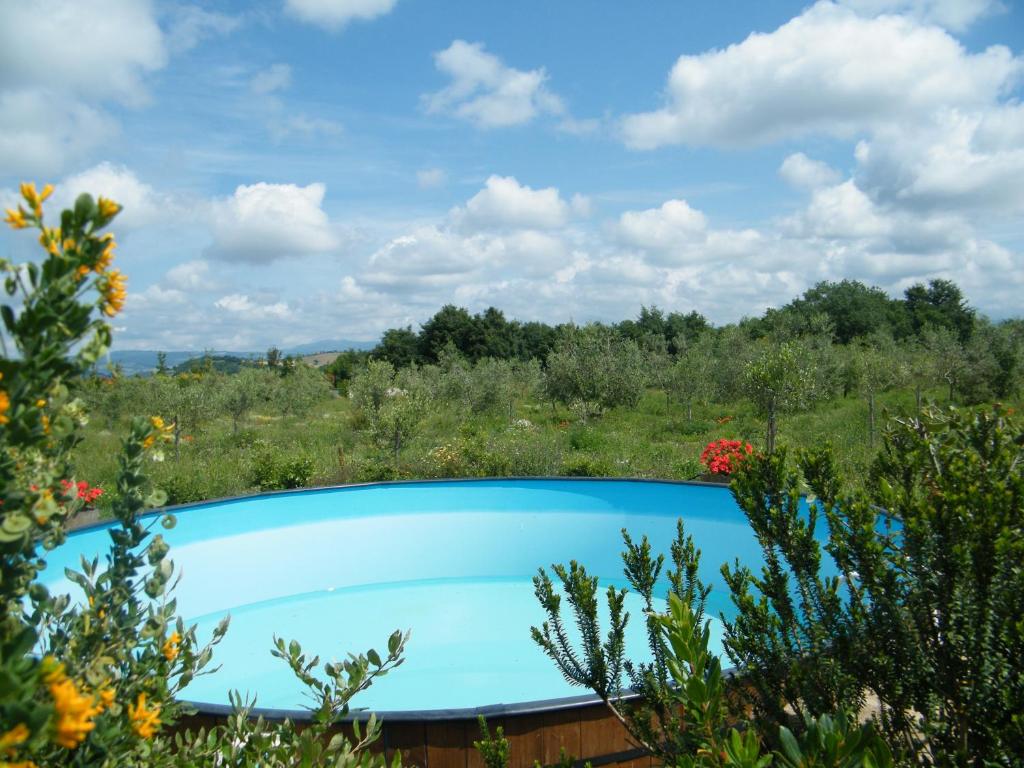 a blue swimming pool in a garden with flowers at Agriturismo Sant' Antonio in Manciano