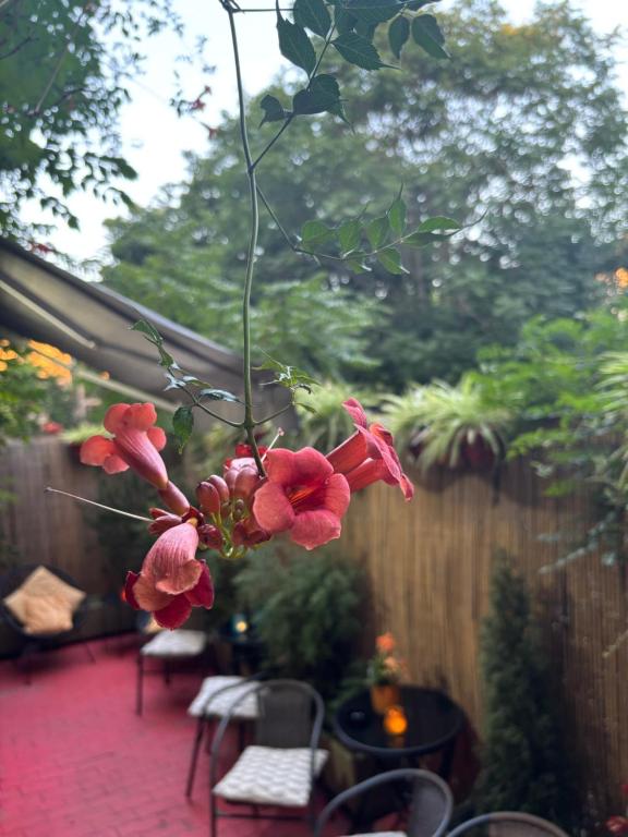 Do Stil Boutique Hotel - Resim 41