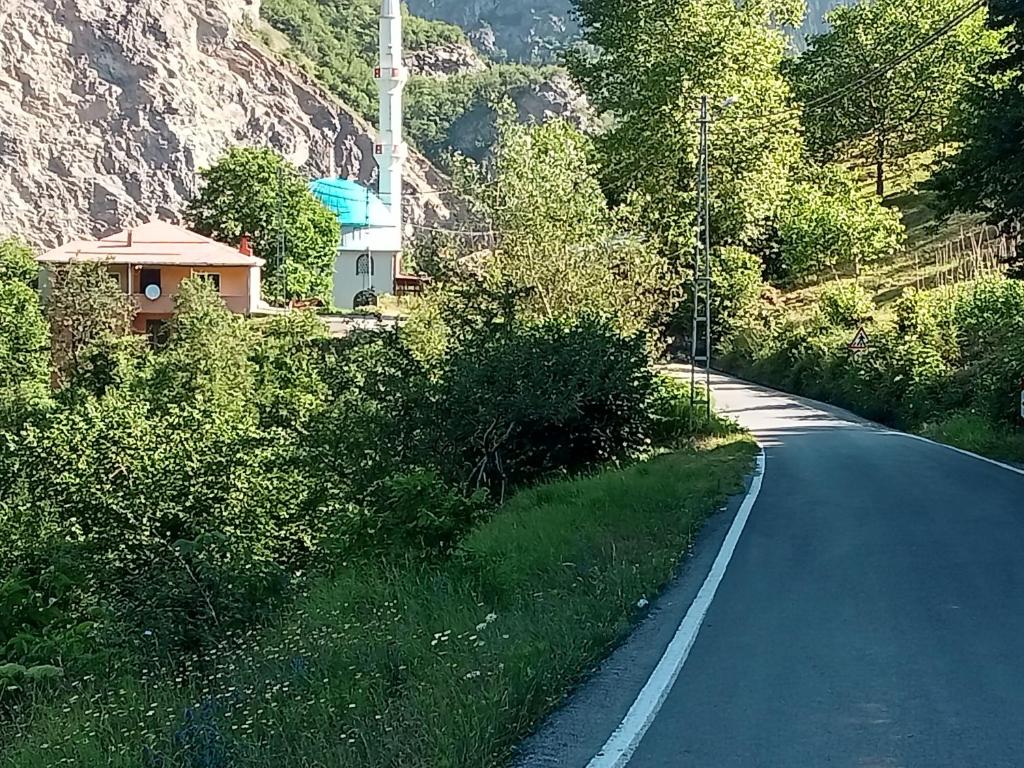 a road with a building on the side of a mountain at Hamsiköy green garden in Trabzon