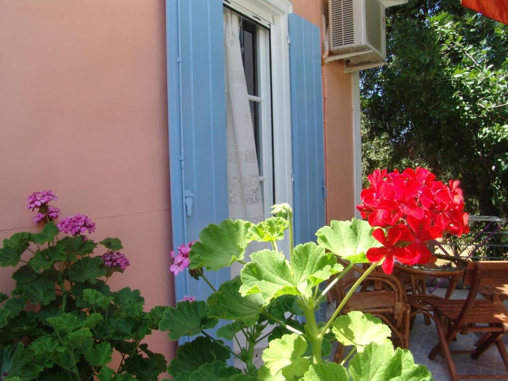 Zahrada ubytování Aiolos Rooms