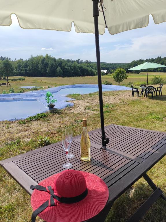 a picnic table with a red hat and a bottle of wine at Stadnina koni Tarka in Zwierzyniec