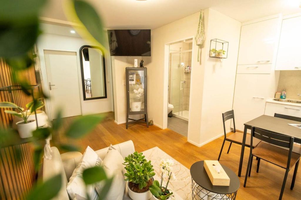 WELCOME APARTMENTS - Luzern Mobile-Check-in - Resim 25