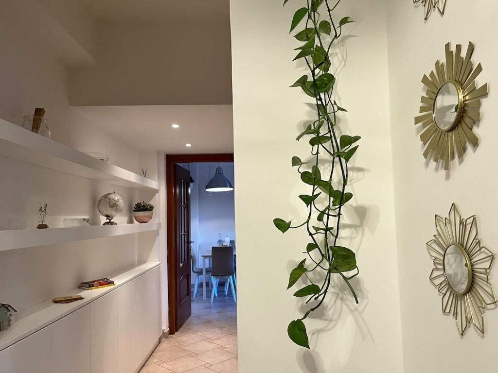 Casa di Ross