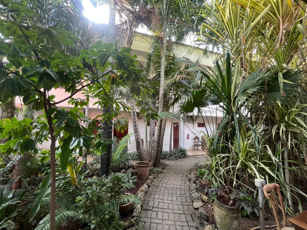 Κήπος έξω από το 27 Cafe Zanzibar Airport Hotel