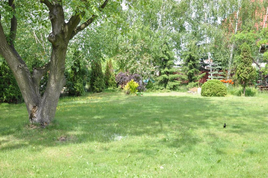 Vonkajšia záhrada v ubytovaní BE WELL 3-Rooms Apartment with Parking and Garden