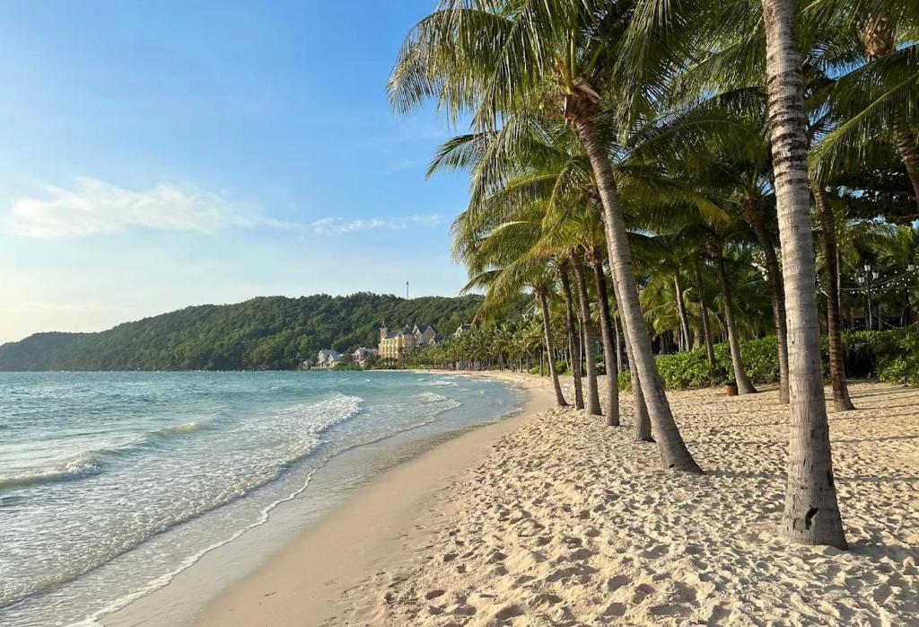 una fila di palme su una spiaggia con l'oceano di Sunshine house Phú Quốc - big apartment firework a Phu Quoc
