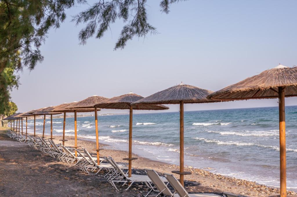 a row of straw umbrellas and chairs on a beach at Costa Angela Seaside Resort in Kos