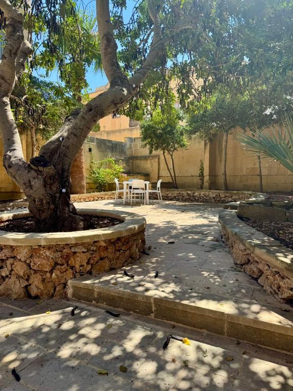 Cornucopia Hotel - 13