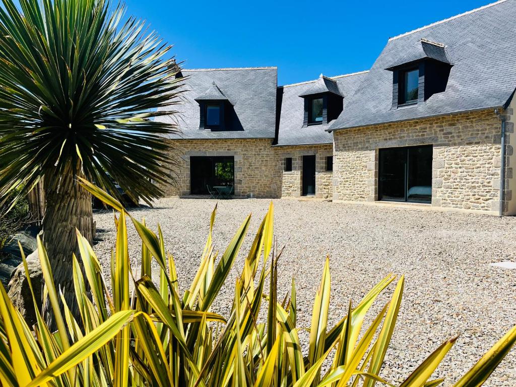 une maison avec un palmier devant dans l'établissement Le petit Alice cottage, à Cléder