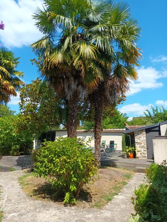 a palm tree in front of a house at Annexe indépendante in Bourron-Marlotte
