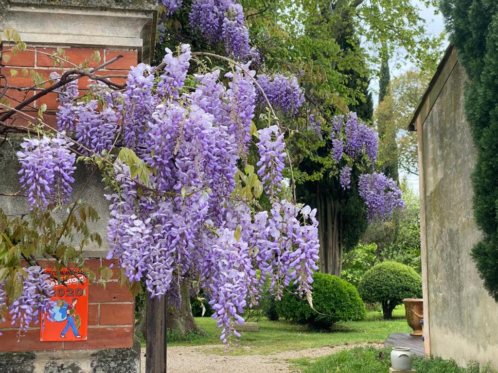 a wreath of purple flowers hanging from a building at Le Mas Ferrand in Graveson