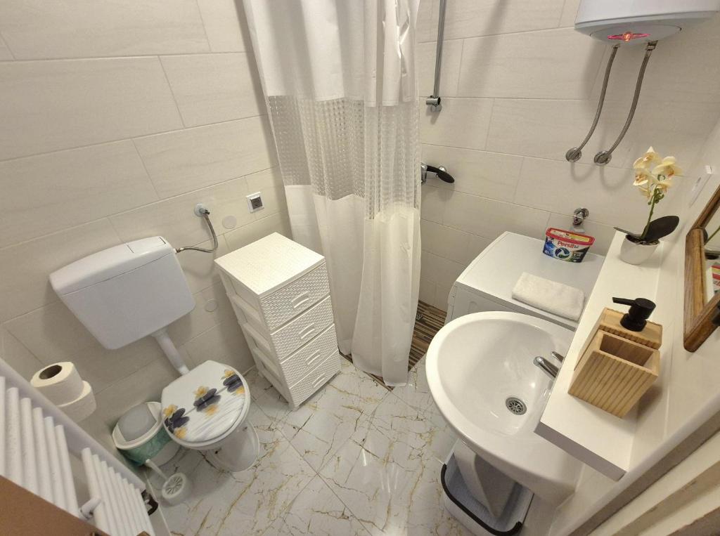 Koupelna v ubytování Apartman Pasarela - mirna lokacija u centru