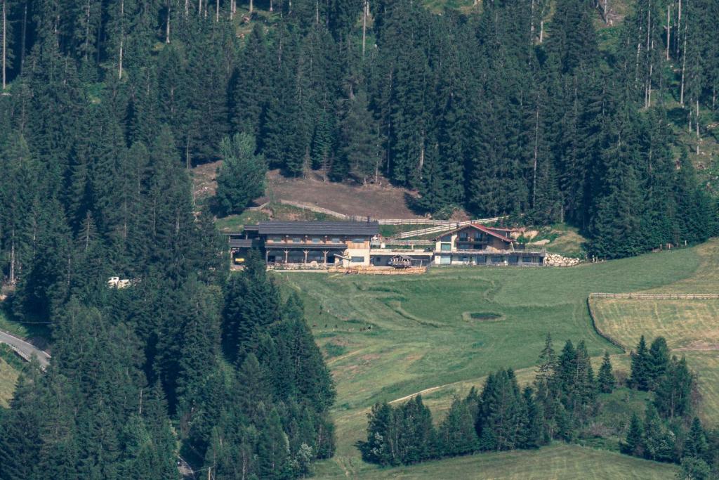 a house on the side of a hill with trees at Biohof Oberwerkstatt HAIDI in Obereggen