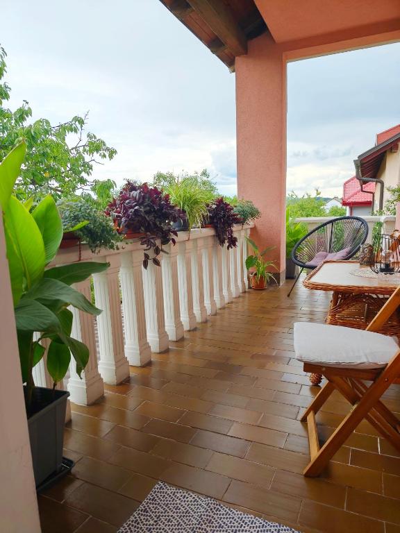 a balcony with potted plants on a wall at Apartman NADA in Krapina